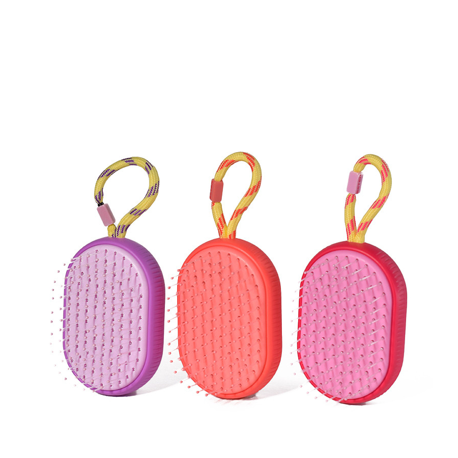 entwirrungsburste-fur-unterwegs