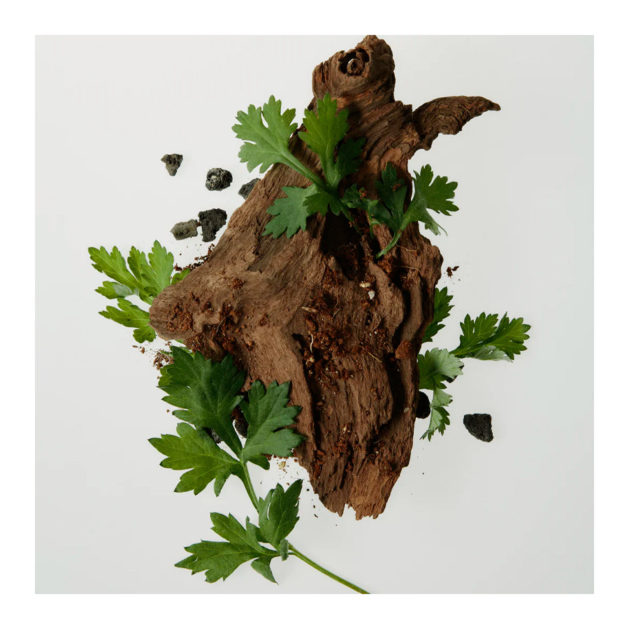 calming-serum-green-tea-panthenol-hydrating-and-soothing-serum