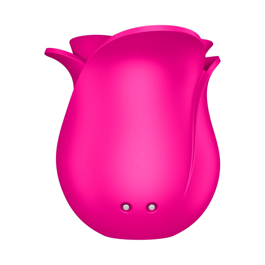 succionador-pro-2-classic-modern-blossom