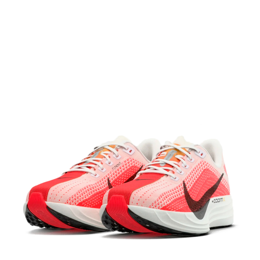 chaussures-pegasus-plus