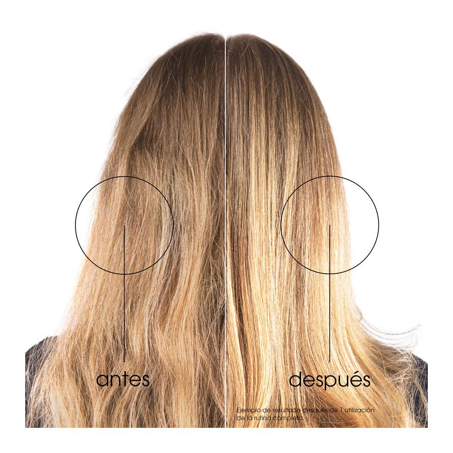 Champú Hidratación y Brillo al Higo de Barbaria