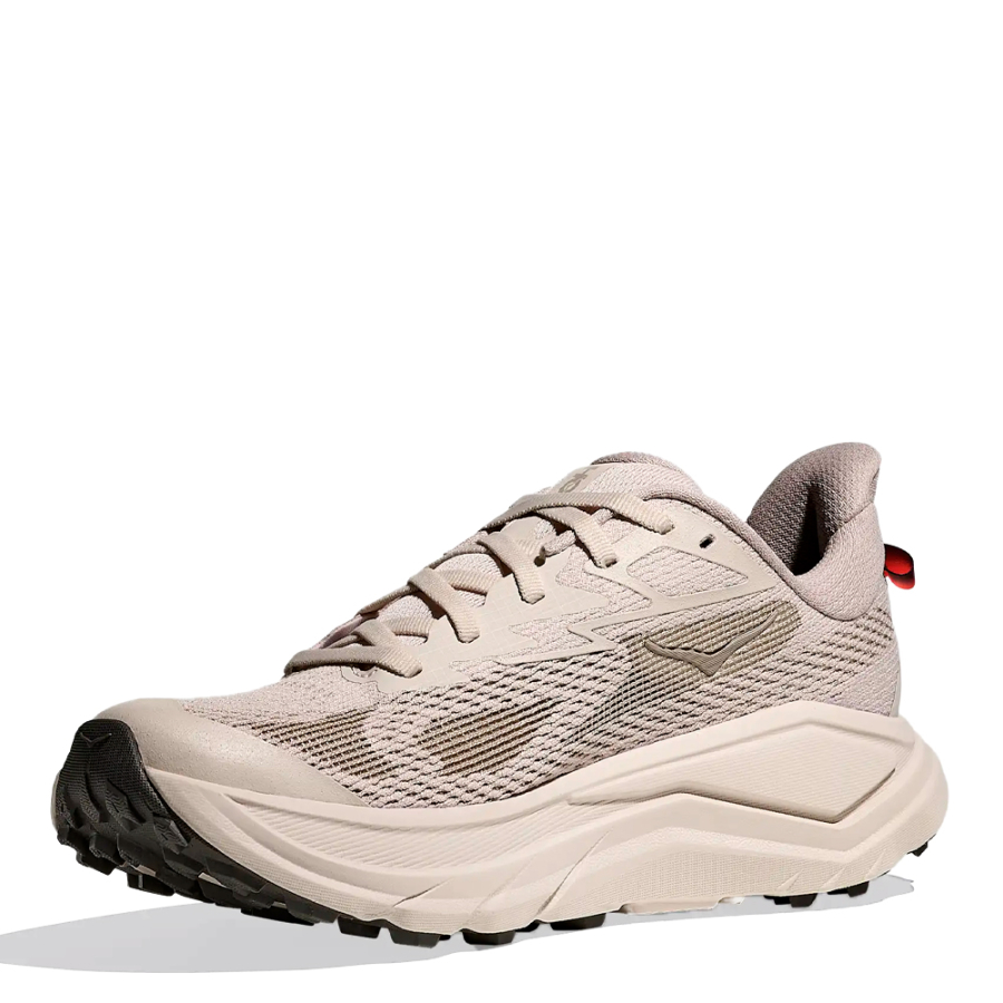 chaussure-challenger-8