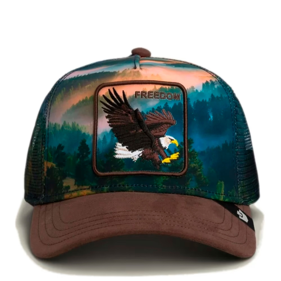 eagle-in-the-element-cap