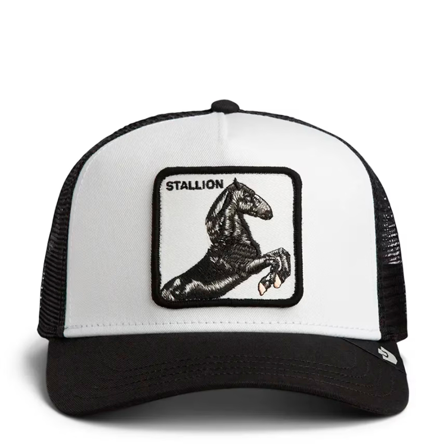 casquette-d-etalon