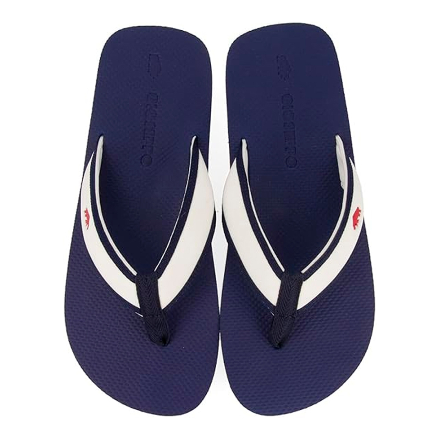 tainter-flip-flops tainter-flip-flops