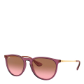 659114-TRANSPARENT VIOLET/ GRADIENT PINK BROWN