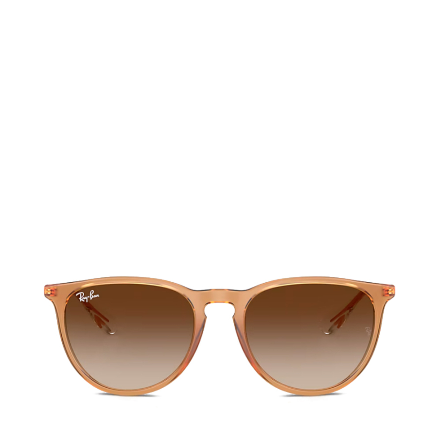 lunettes-de-soleil-erika-classic-rb4171 lunettes-de-soleil-erika-classic-rb4171