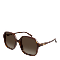 002-HAVANA-HAVANA-BROWN