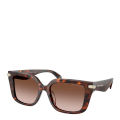 403113-LUGGAGE TORTOISE/SMOKED GRADIENT