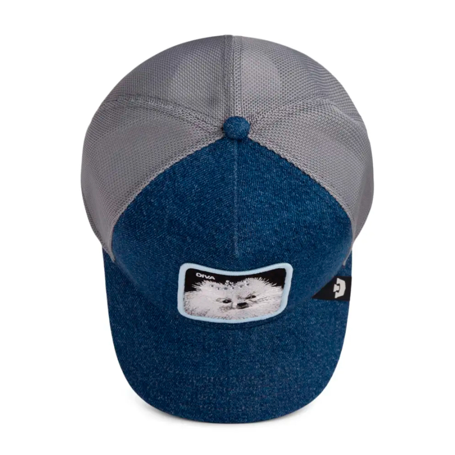 diva-dawg-cap diva-dawg-cap