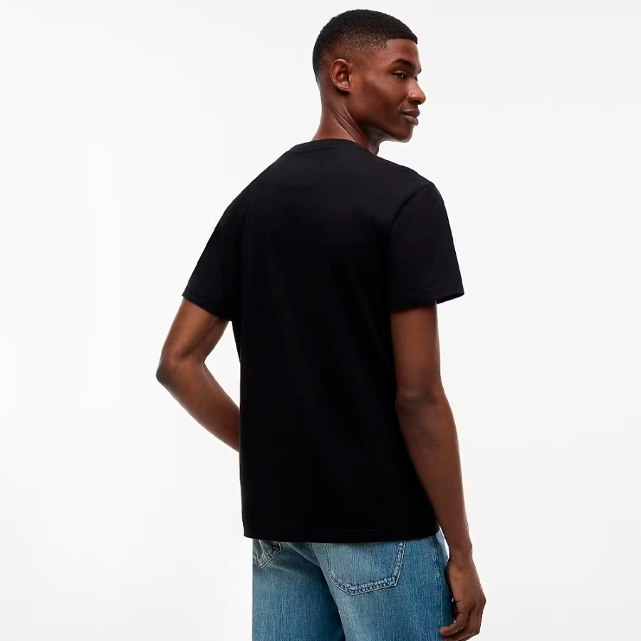 camiseta-regular-entry-dna