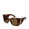 005-HAVANA-HAVANA-BROWN