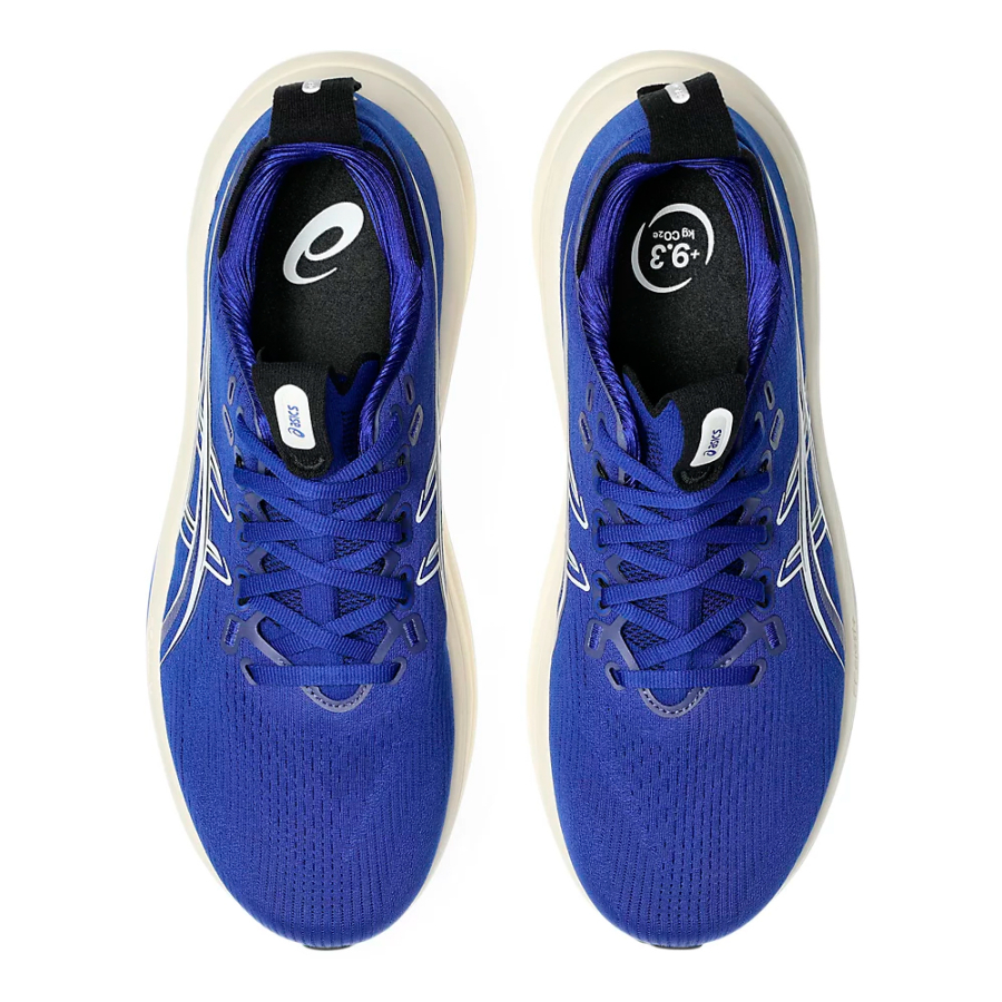 gel-nimbus-28-shoe
