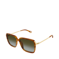 003-HAVANA-GOLD-GREEN