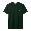 4082-VERDE FORESTA