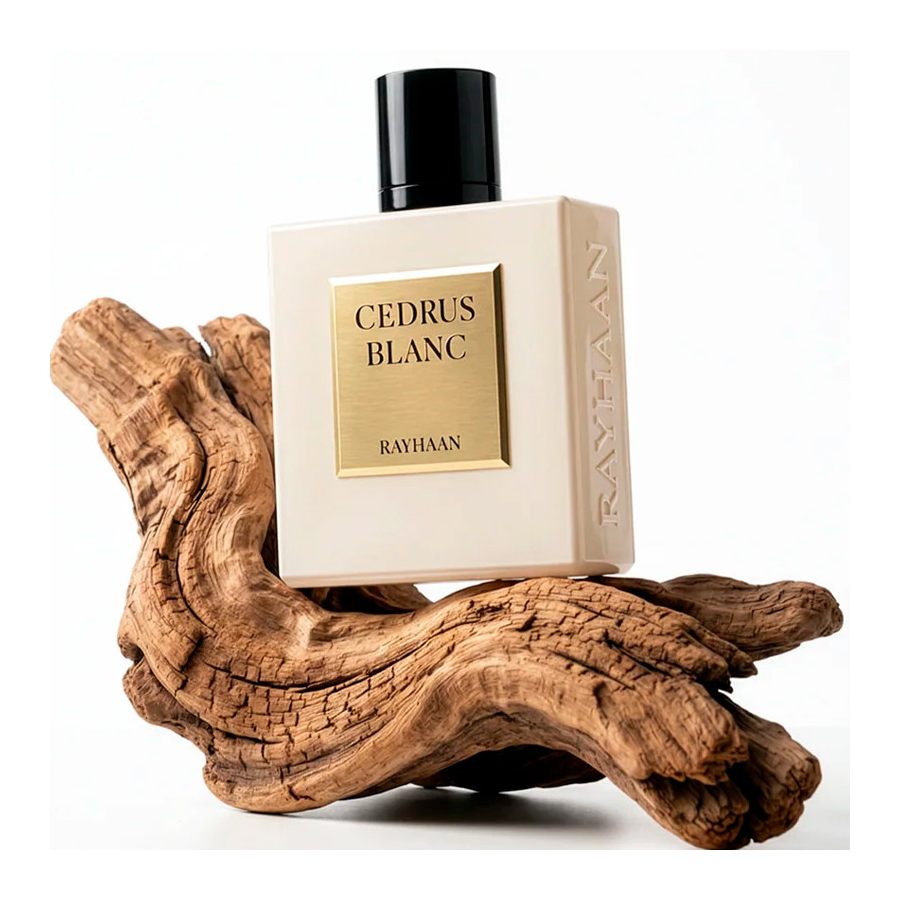 cedrus-blanc