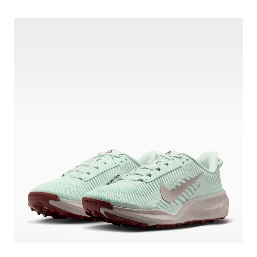 acg-pegasus-trail-shoe