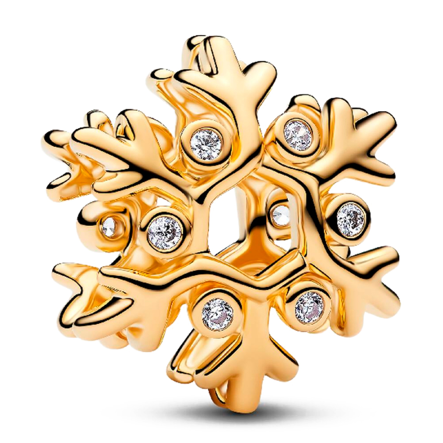 charm-snowflake-764249c01